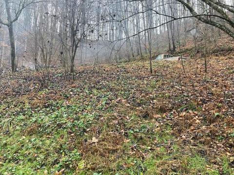 273 Mcqueen Hollow Road Johnson City Tn 37601, Johnson City, TN 37601