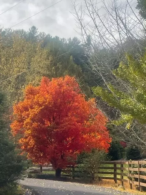 468 Coffee Ridge Road Erwin Tn 37650, Erwin, TN 37650 photo 10