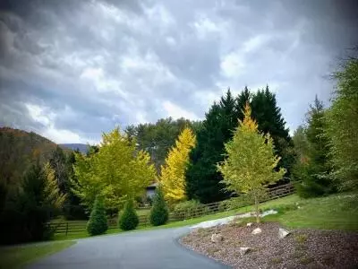 468 Coffee Ridge Road Erwin Tn 37650, Erwin, TN 37650 photo 3