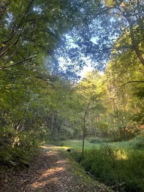 468 Coffee Ridge Road Erwin Tn 37650, Erwin, TN 37650 photo 9