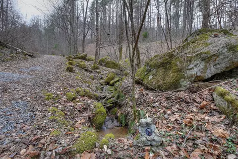 468 Coffee Ridge Road Erwin Tn 37650, Erwin, TN 37650 photo 69