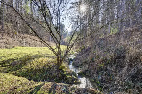 468 Coffee Ridge Road Erwin Tn 37650, Erwin, TN 37650 photo 11