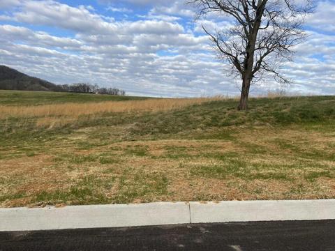 Lot 30 Cattleman's Trail, Jonesborough, TN 37659