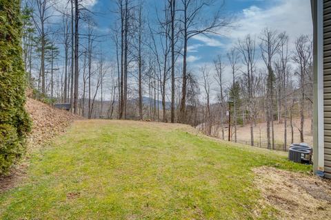 101 Laurel Road Erwin Tn 37650, Erwin, TN 37650 photo 44
