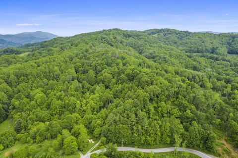 tbd Buck Mtn Road Roan Mountain Tn 37687, Roan Mountain, TN 37687
