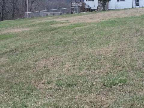 309 Cassi Rdguy Brown Road Chuckey Tn 37641, Chuckey, TN 37641 photo 3