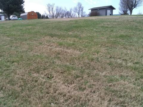 309 Cassi Rdguy Brown Road Chuckey Tn 37641, Chuckey, TN 37641 photo 2