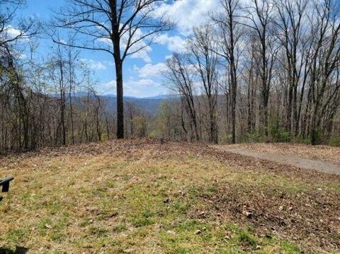lot16 Mays Ridgeoff Heaton Branch Road Butler Tn 37640, Butler, TN 37640
