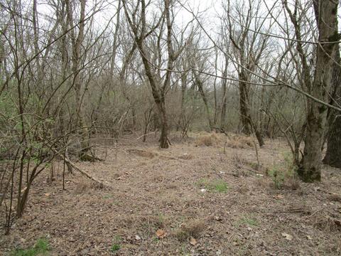 tbd 5th Street Extension Bristol Tn 37620, Bristol, TN 37620
