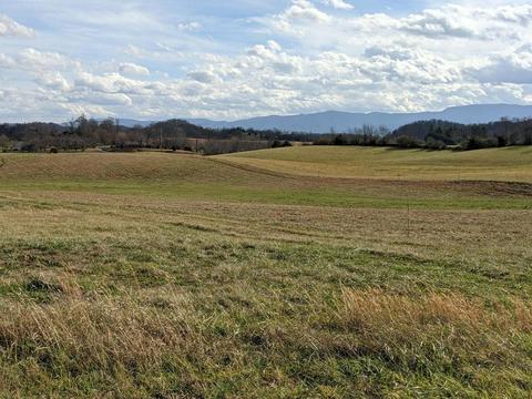 lot3 B Mary Lamons Road Afton Tn 37616, Afton, TN 37616