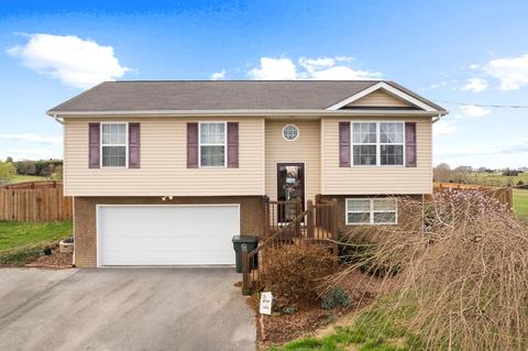 615 Painter Road Fall Branch Tn 37656, Fall Branch, TN 37656 photo 1