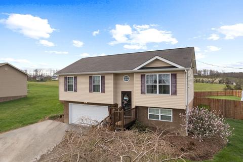 615 Painter Road Fall Branch Tn 37656, Fall Branch, TN 37656 photo 24