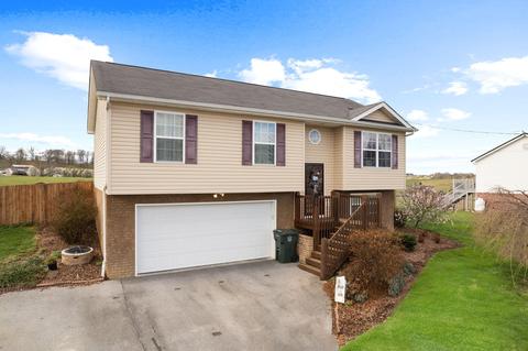615 Painter Road Fall Branch Tn 37656, Fall Branch, TN 37656 photo 23