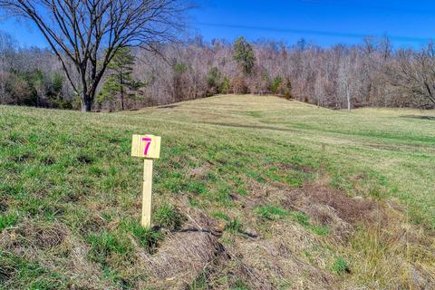 lot7 Tennessee Highway 70 S Rogersville Tn 37857, Rogersville, TN 37857