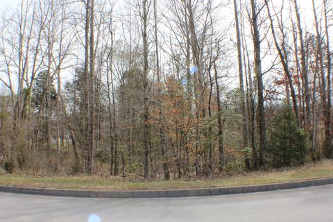 1032 Wildwood Trail Church Hill Tn 37642, Church Hill, TN 37642