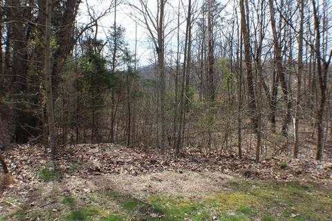 1038 Wildwood Trail Church Hill Tn 37642, Church Hill, TN 37642
