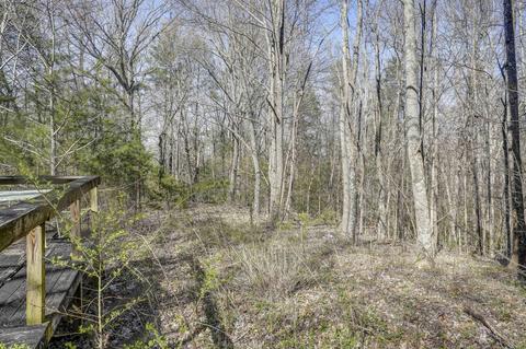 463 Bearfield Road Chuckey Tn 37641, Chuckey, TN 37641 photo 10