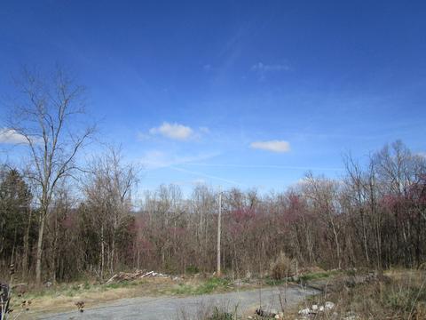 143 Free Hill Road Johnson City Tn 37615, Johnson City, TN 37615