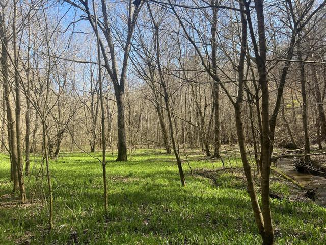 00 Ben Hill Road Rogersville Tn 37857, Rogersville, TN 37857