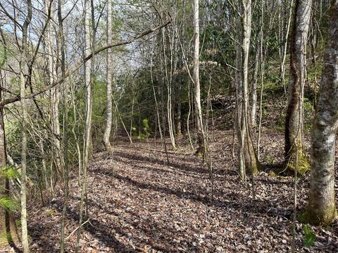 tbd Harts Crossing Way Del Rio Tn 37727, Del Rio, TN 37727