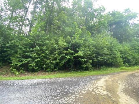 tbd Bankers Bend Mountain City Tn 37683, Mountain City, TN 37683