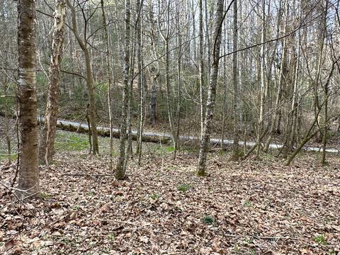 lot No 8 Rabbit Hill Road Del Rio Tn 37727, Del Rio, TN 37727