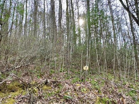 lot No 13 Clydesdale Way Del Rio Tn 37727, Del Rio, TN 37727