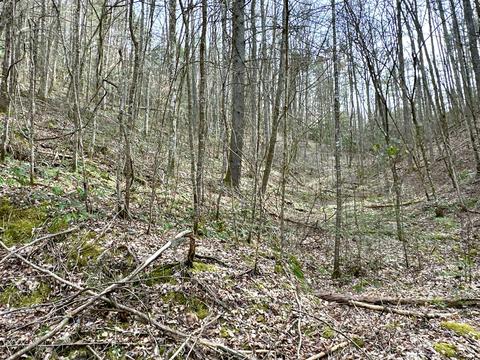 lot No 27 Clydesdale Way Del Rio Tn 37727, Del Rio, TN 37727