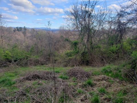 394 Wilcox Circle Jonesborough Tn 37659, Jonesborough, TN 37659