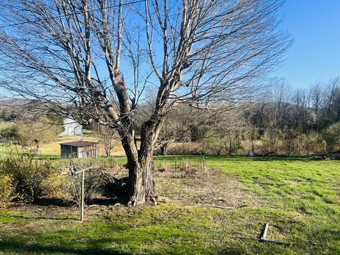 4032 Wilderness Road Ewing Va 24248, Ewing, VA 24248 photo 35