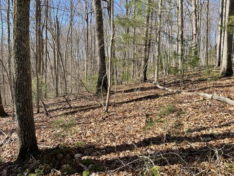 00 Mine Ridge Road Mountain City Tn 37683, Mountain City, TN 37683
