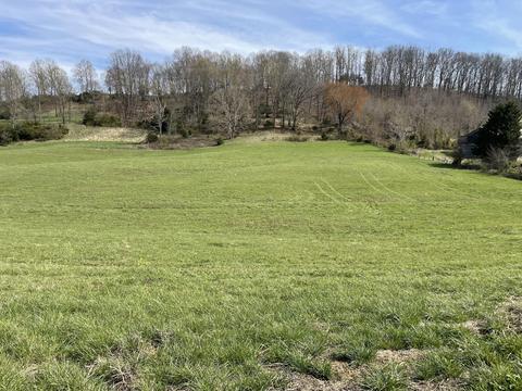 136 Baskett Road, Limestone, TN 37681 photo 1