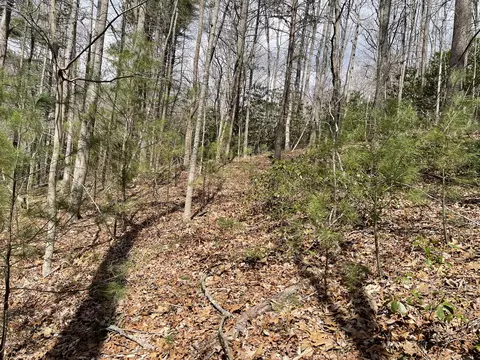 00 Sink Valley Road Butler Tn 37640, Butler, TN 37640