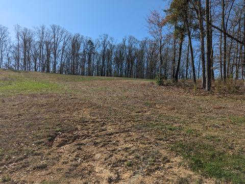 tbd Newport Highway Greeneville Tn 37743, Greeneville, TN 37743