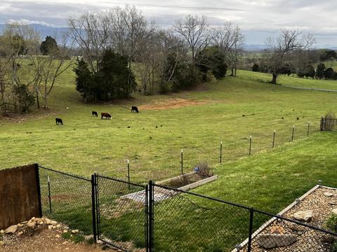 226 Grace Drive Greeneville Tn 37745, Greeneville, TN 37745 photo 41