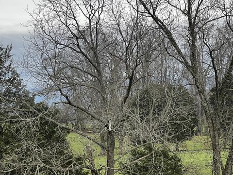 226 Grace Drive Greeneville Tn 37745, Greeneville, TN 37745 photo 44