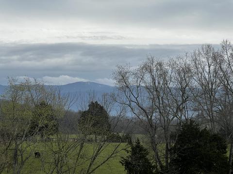 226 Grace Drive Greeneville Tn 37745, Greeneville, TN 37745 photo 5