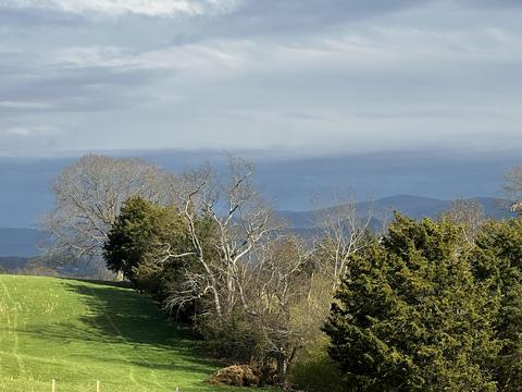 226 Grace Drive Greeneville Tn 37745, Greeneville, TN 37745 photo 22