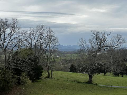 226 Grace Drive Greeneville Tn 37745, Greeneville, TN 37745 photo 46