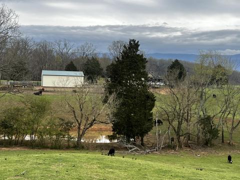 226 Grace Drive Greeneville Tn 37745, Greeneville, TN 37745 photo 43