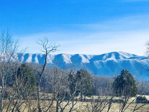 226 Grace Drive Greeneville Tn 37745, Greeneville, TN 37745 photo 7