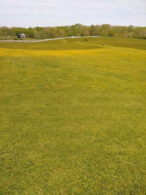 10704 Coeburn Mountain Road Wise Va 24293, Wise, VA 24293 photo 46