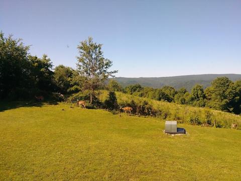 10704 Coeburn Mountain Road Wise Va 24293, Wise, VA 24293 photo 47