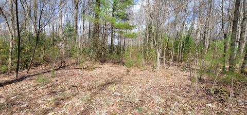 0 White Oak Road Roan Mountain Tn 37687, Roan Mountain, TN 37687