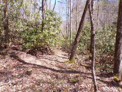 194 Jack Mckinney Road Hampton Tn 37658, Hampton, TN 37658 photo 13