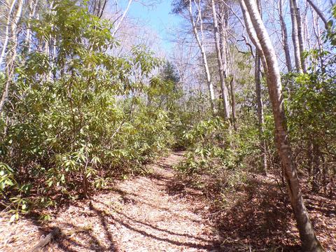 194 Jack Mckinney Road Hampton Tn 37658, Hampton, TN 37658 photo 15