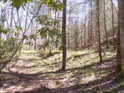 194 Jack Mckinney Road Hampton Tn 37658, Hampton, TN 37658 photo 17