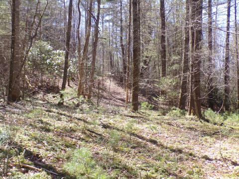 194 Jack Mckinney Road Hampton Tn 37658, Hampton, TN 37658 photo 20
