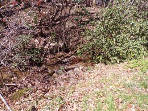 194 Jack Mckinney Road Hampton Tn 37658, Hampton, TN 37658 photo 7