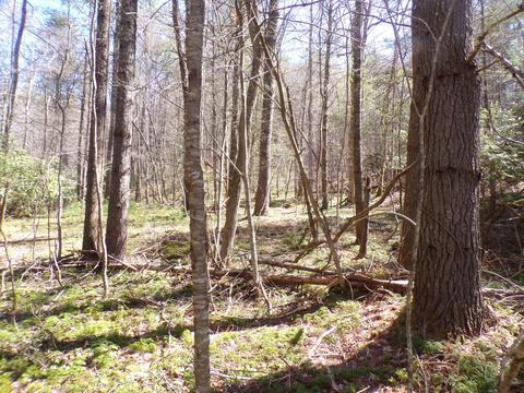 194 Jack Mckinney Road Hampton Tn 37658, Hampton, TN 37658 photo 18